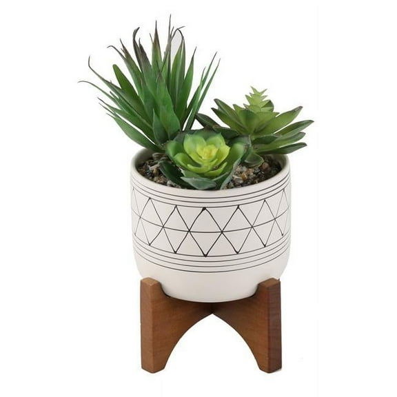 Flora Bunda CS1919E-BLK FAUX SUCCULENTS IN GOLD HANDPIANT 5' CERAMIC FOOTED STAND