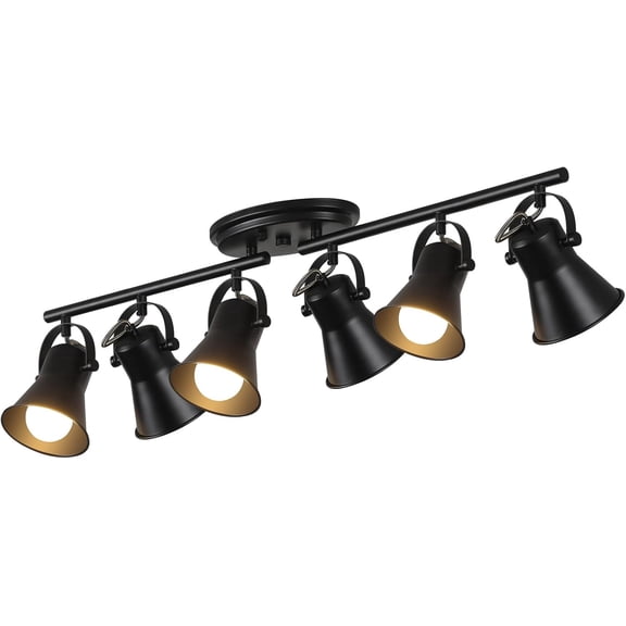 6-Light Track Lighting Kit,Black Semi Flush Mount