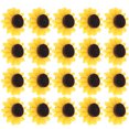 thumbnail image 4 of 40 Pcs Punaises en Liège Tournesol Punaises de Pouce Décoratives, 4 of 9