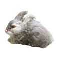 thumbnail image 2 of Hxlamzoo Jouets pour Enfants Modèle de Simulation de Pâques Modèle de Lapin Réaliste Jouets en Solde, 2 of 8