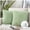 Light Green, variant on Phantoscope Christmas holiday Decorative Throw Pillow Set, Faux Fur Series Covers with inserts, 12" x 20", Off White, 2 Pack