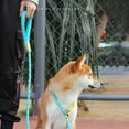 thumbnail image 3 of Flmtop Pet Chain Good Craftsmanship Wear-resistant Nylon Dog One-piece P-type Leash for Outdoor Grey, 3 of 9