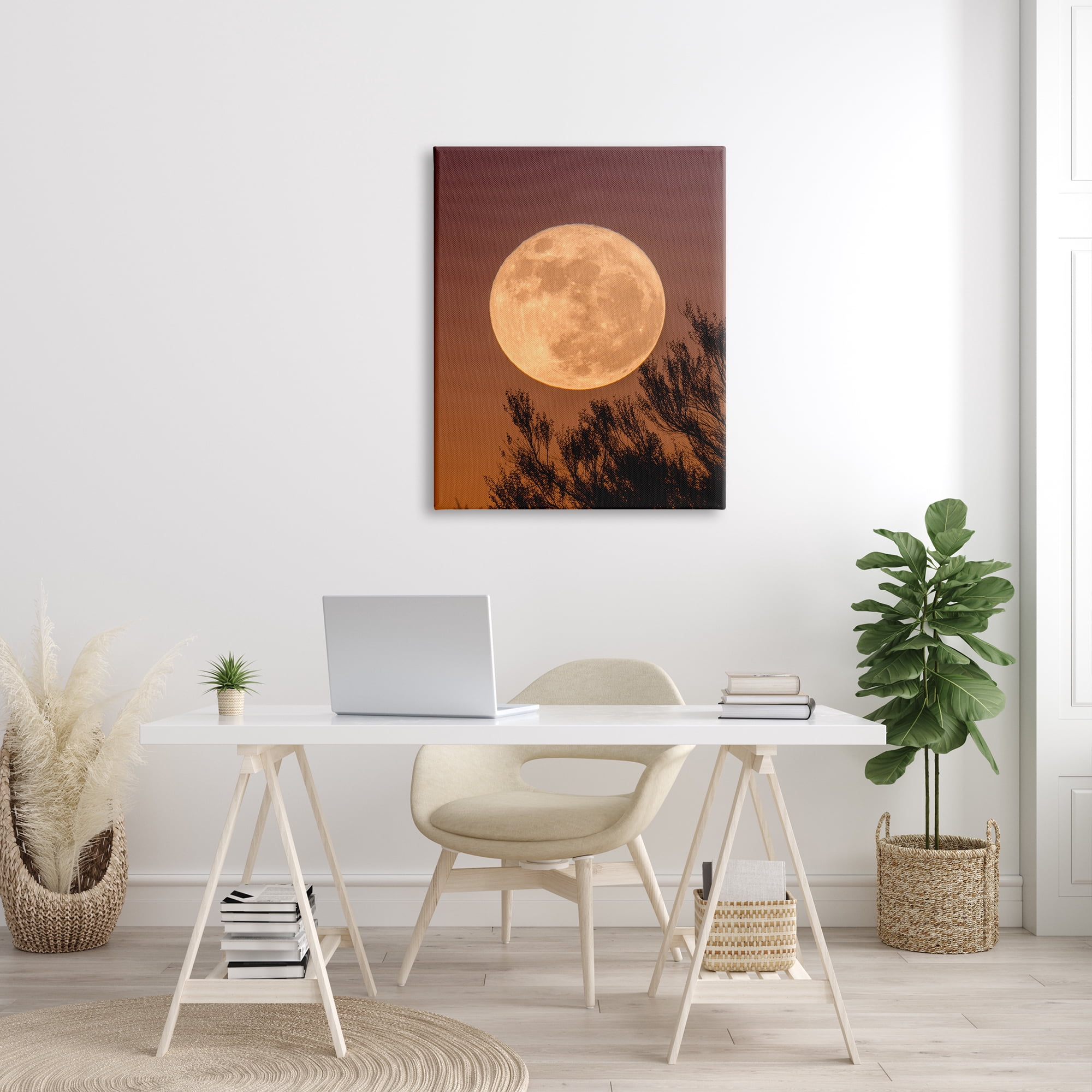 Stupell Indtries Full Moon Photography Tree Branch Silhouette Autumn Sky,30 x 40,Design by Birch&Ink