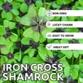 thumbnail image 4 of Iron Cross Shamrock Bulbs - 20 Bulbs to Plant - Good Luck Plant - Fast Growing Year Round Color Indoors or Outdoors - Oxalis Shamrock Bulbs - Ships from Iowa, Made in USA, 4 of 8