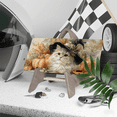 thumbnail image 3 of 1 Pcs 2D Flat License Plate Covers & Frames, A Cat Wearing a For Decorative Front, Waterproof For Decoration Aluminum License Plate Covers & Frames Cover For Men Women, 12" X 6", 3 of 6
