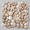 2 Pounds, variant on Seashell Decoration 3 Pounds Mixed White Tan Pink Craft Home Decor