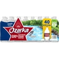 OZARKA Brand 100 Natural Spring Water, 16.9ounce Plastic Bottles