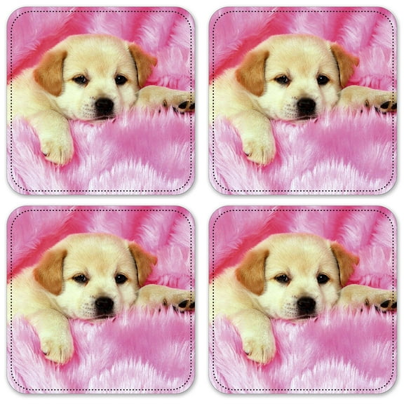 Vinyl Drink Coasters - Set of 4 - Lab Puppy