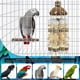 thumbnail image 5 of Juguete Para Masticar Loros, Juguetes De Madera Para Pájaros, Bloques De Madera, Juguete Para Masticar Pájaros, Jaula Para Loros, Juguetes Para Cacatúas, Loros Monstrate PT002121-00, 5 of 6