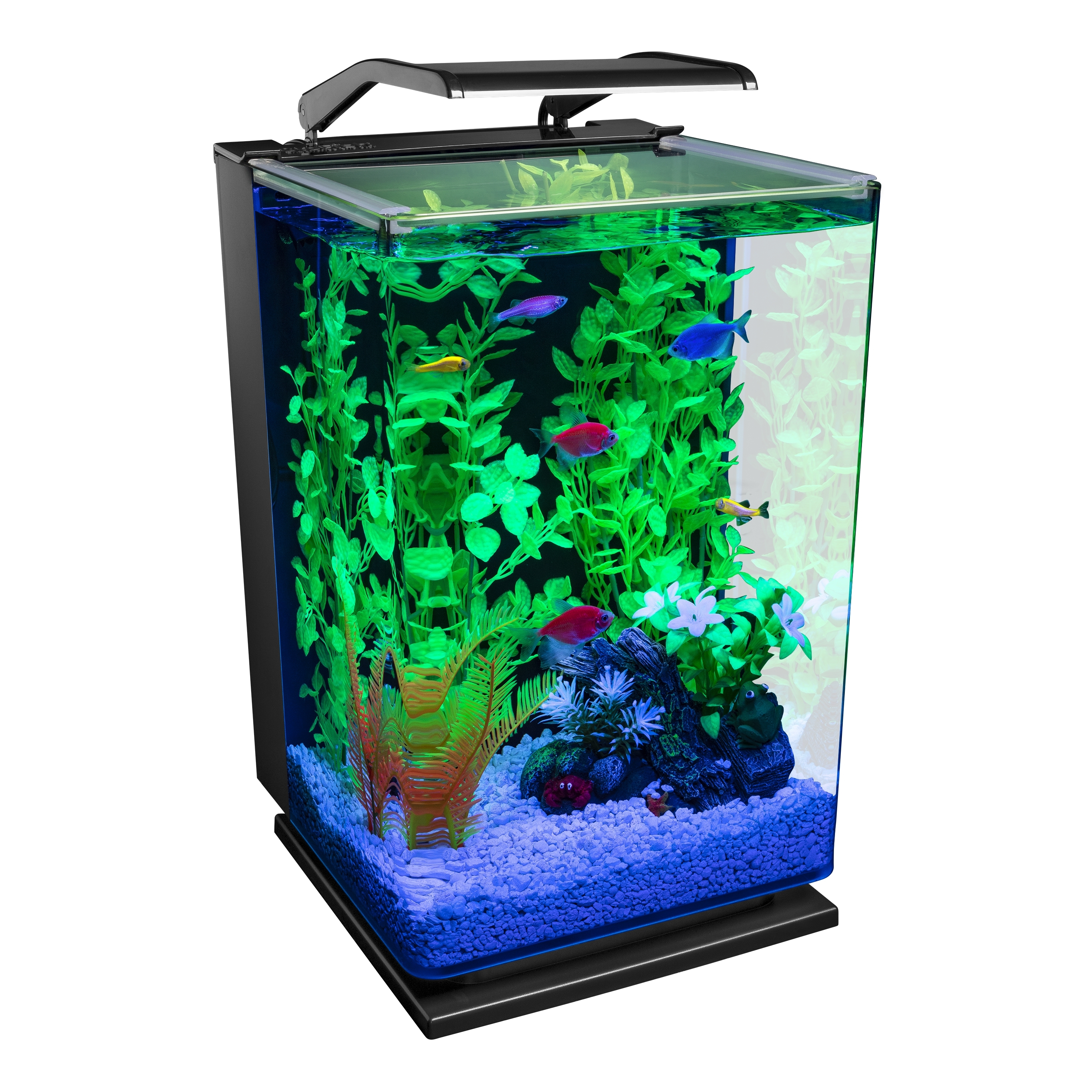 GloFish 5 Gallon Aquarium Starter Kit with LED Lighting photo 2