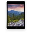 thumbnail image 2 of Restored 2014 Apple iPad mini Wi Fi 64 GB Space Gray (3rd Generation) (Refurbished), 2 of 4