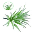 thumbnail image 1 of Coofit Artificial Succulent Fashion Decorative Mini Artificial Plant Faux Succulent, 1 of 6