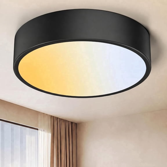 VANoopee 15.7" Large Flush Mount LED Ceiling Light Fixture Dimmable, 5 Color Surface Mount Round Lighting Fixture for Kitchen Closet Bedroom Hallway Entryway, 2700K-6000K, 30W 4500lm Black