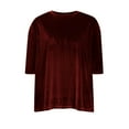 thumbnail image 4 of Women's Velvet Solid Color Half Sleeve Round Neck Casual T-Shirt Pullover Blouse, Soft and Stylish Velvet Fabric, Versatile Spring and Summer Top for Daily Wear and Casual Outings, 4 of 6