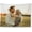 Multicolor, variant on Custom Tapestry, Custom Backdrop, Customized Your Own Tapestry, with Photo Text Personalized Wall Blanket, for Room Decor Wedding Family Memorial Gift, 30x40inch/75x100cm, multicoloured