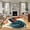 Beige, variant on 5'x8' Area Rugs, Retro Rooster Indoor Outdoor Area Rug for Living Room Bedroom, Farmhouse Vintage Summer Botanical Washable Bathroom Rugs Kitchen Floor Carpet Mats Home Decor Aesthetic