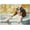 500, variant on English Springer Spaniel Taking Bubble Bath Jigsaw Puzzle 500 Pieces for Adults - Spaniel on a Bathtub in Bathroom - Pet Shower Decor Puzzles