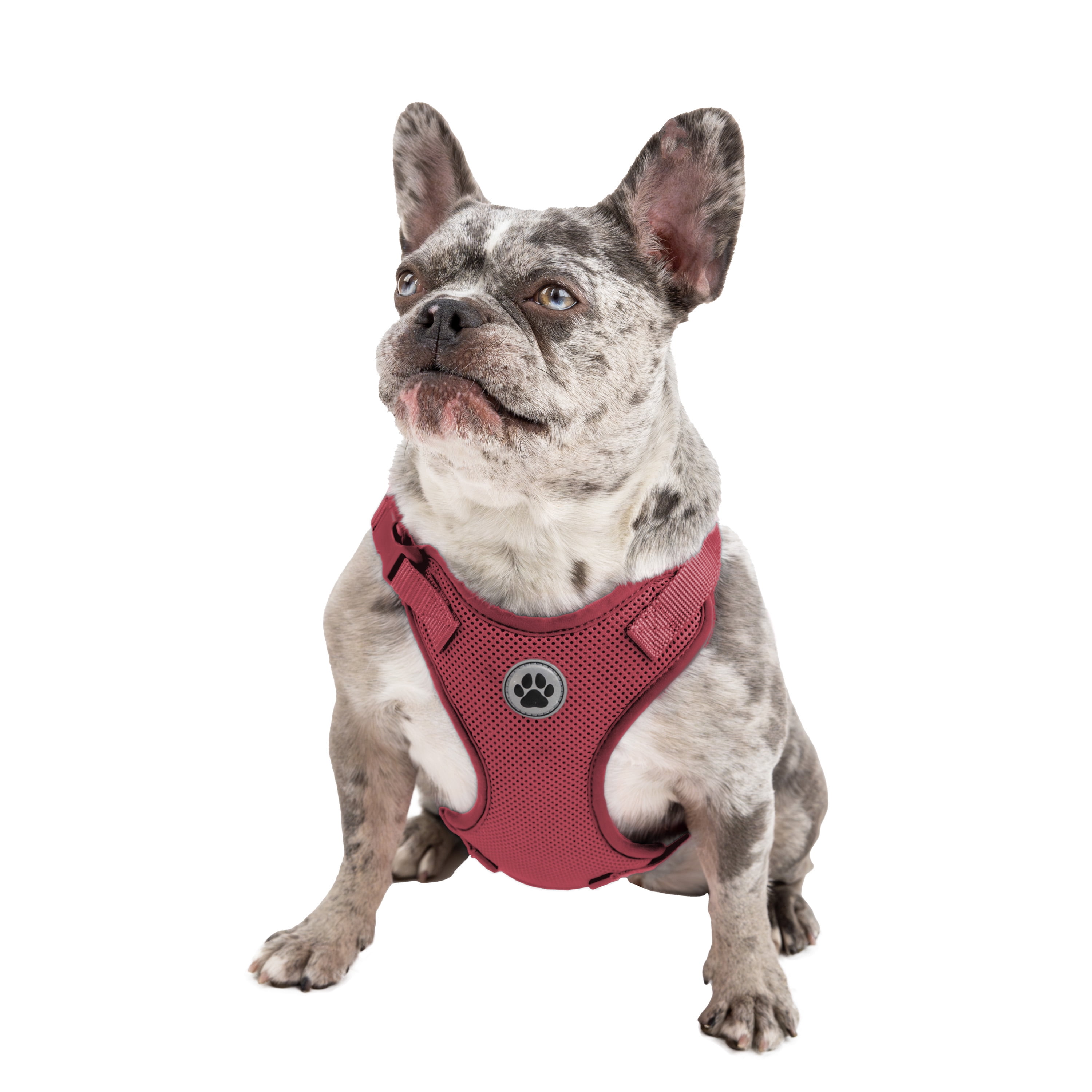 Vibrant Life Polyester Mesh Adjustable and Reflective Dog Walking Harness, Red, M