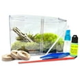 thumbnail image 3 of Live Moss Terrarium Kit with Supplies – Includes 3 Types of Live Moss, Plastic Terrarium, Wood Log, Peat Moss Base & 4-Piece Terrarium Tool Set, 3 of 4
