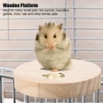 thumbnail image 4 of Hamsters Playground, Hamsters Platform, Wooden  3.5 Inch Mice For  Hamster Gerbil, 4 of 8