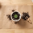 thumbnail image 5 of Ceramic Planter with Drainage Hole, Elegant Small Plant Pots for Ferns Cactus Home Desktop Windowsill Decor, 5 of 6