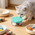 thumbnail image 6 of ZhangC Silicone Pet Food Can Lids, Silicone Dog & Cat Food Can Lid Covers, Reusable Universal Can Lids Airtight for Refrigerated Storage Can and Pet Food Freshness(Green), 6 of 6