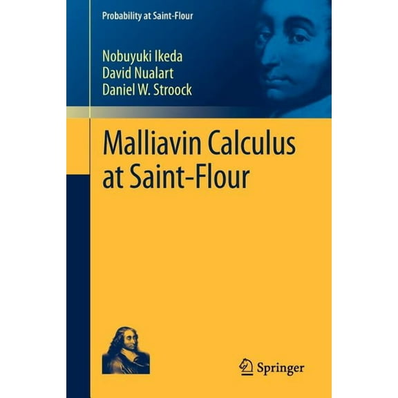 Probability at Saint-Flour Malliavin Calculus at Saint-Flour, (Paperback)