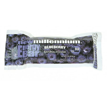 Millennium Energy Survival Bar Blueberry - 5-year shelf (Best Survival Food Bars)