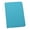Light Blue, variant on Solid Color Portable Passport Case ID Card Cover Holder Protector Organizer