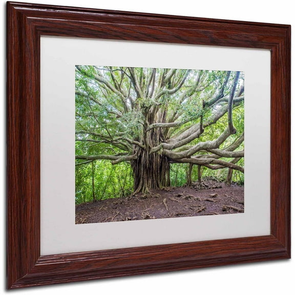 Trademark Fine Art "Banyan" Canvas Art by Pierre Leclerc, White Matte/Wood Frame