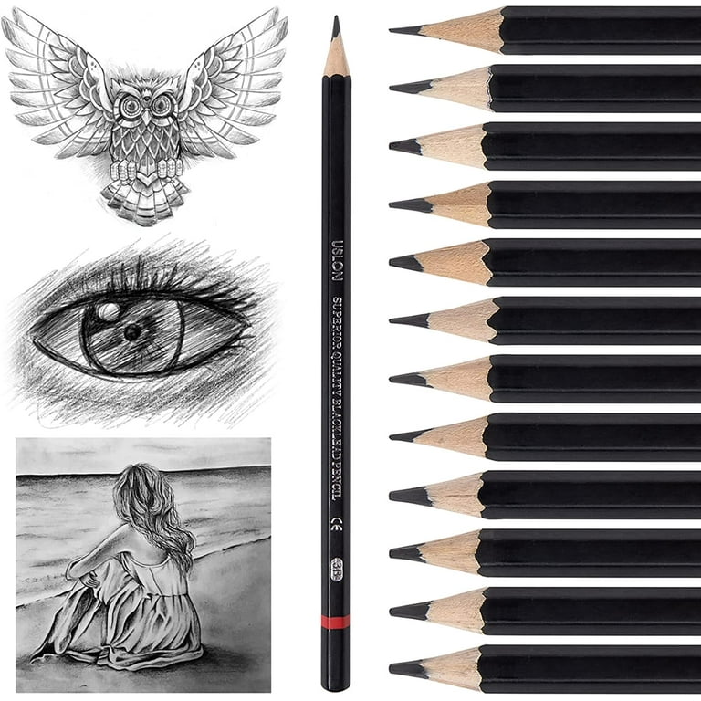 Duslogis Professional Drawing Sketch Pencils Set of 12, Medium (8B