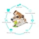 thumbnail image 4 of Fiudx Juguete Masticable para Perros, Diseño de Goma Resistente, Entrenamiento para Masticar Agresivamente, Limpieza Dental No Tóxica, Dispensador Interactivo de Premios, para Perros Pequeños, Median, 4 of 7