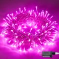 thumbnail image 1 of Luces LED rosas conectables de 10 m y 100 LED para decoración de dormitorio, 8 modos, cable transparente, luces navideñas rosas enchufables para interiores y exteriores, impermeables, para habitación, 1 of 7