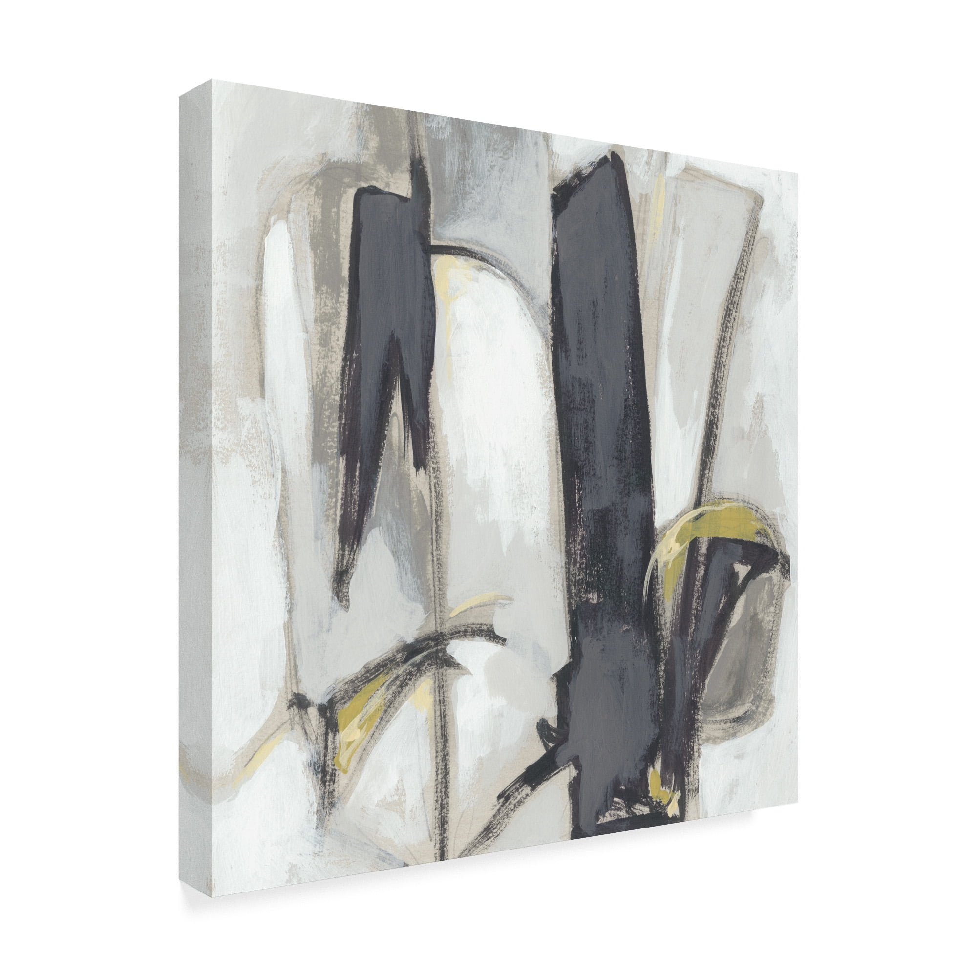 Trademark Fine Art 'Locus II' Canvas Art by June Erica Vess