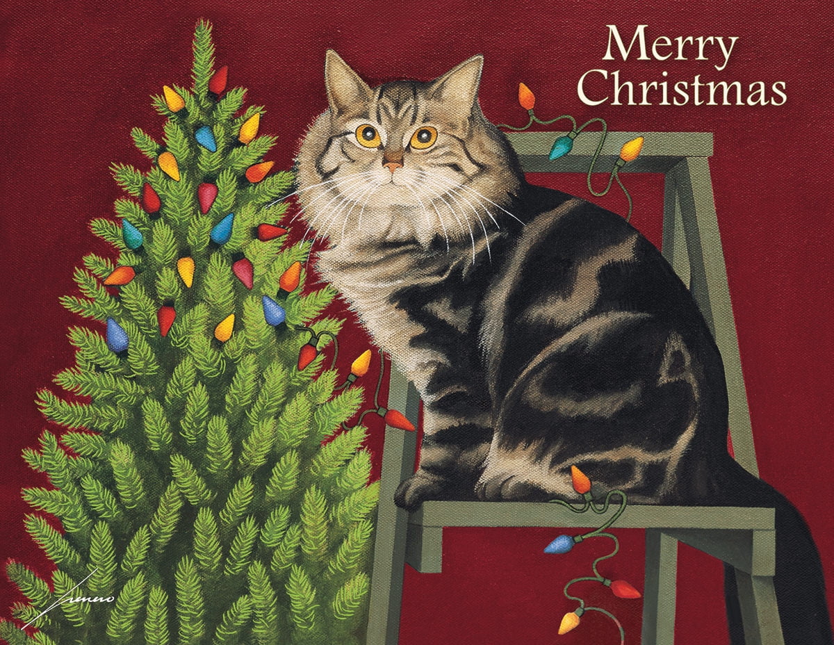BOXED CHRISTMAS CARDS, STRINGING LIGHTS