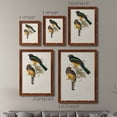 thumbnail image 4 of Elegant Trogons III - Premium Framed Canvas 2 Piece Set - Ready to Hang, 4 of 7