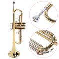 thumbnail image 4 of Trumpet Fine Brass Correct Pitch Professional Trumpet For Music Lover Trumpet, 4 of 8