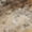 Khaki, variant on Addison Rugs Chantille Indoor/Outdoor Transitional Abstract Baltic Machine Washable Rectangle Rug, 10' x 14'