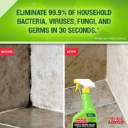 Home Armor Instant Mold & Mildew Stain Remover, 32 oz