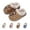 brown, variant on Waterproof Toddler Slippers Boys Girls Kids Slippers, Soft Plush Warm Anti-slip Girls Slippers Funny Cute Cartoon House Shoes for Indoor Outdoor