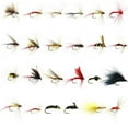 thumbnail image 1 of Fly Fishing Dry Flies Wet Flies Assortment Birthday Kit Waterproof Fly Box Trout Fishing, 1 of 9