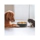 thumbnail image 3 of Plato para mascota Storyland 1.2 L, 3 of 3