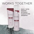thumbnail image 2 of Rooted Rituals - Racine de Gingembre et Aloe - après-Shampooing 8.4 fl oz, 2 of 2