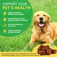 thumbnail image 5 of Oimmal Pre & Probiotics Chews for Dogs - 60 Soft Chews(Duck Flavor), Digestive Probiotics for Gut Flora & Immune Support, Fresher in Smaller Packages - 1pack, 5 of 11