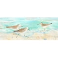 thumbnail image 2 of Coulter, Cynthia 14x8 Black Ornate Wood Framed with Double Matting Museum Art Print Titled - Sandpiper Beach Panel, 2 of 4