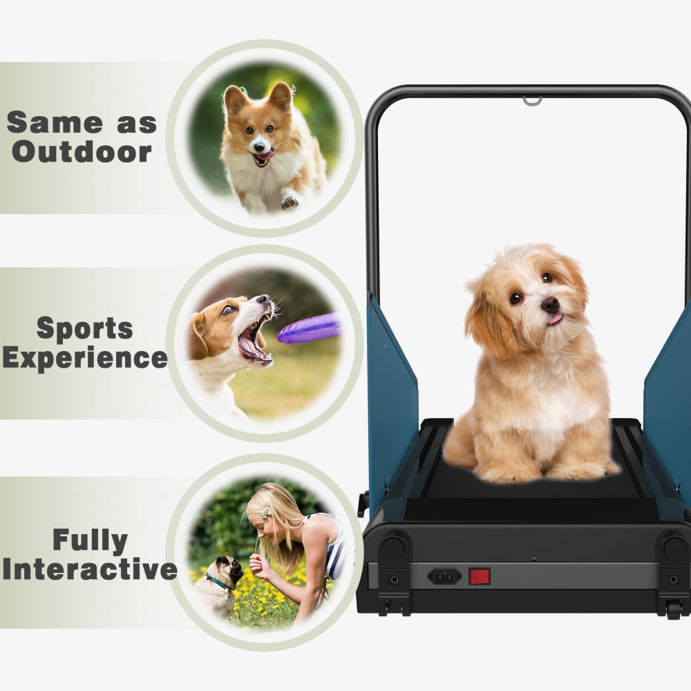 dogPACER MiniPACER Dog Treadmill – Vital Vet