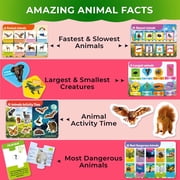 Quokka Busy Books for Toddler Activities - Educational Toys for Children 3-5 - Kids Learning Animal and Insect