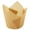 Gold, variant on HJJLRH 50Pcs Tulip Cupcake Liners, Greaseproof Muffin Baking Cups, Non-Stick Tall Tulip Pastry Wrappers for Cupcakes, Muffins, Birthday Party, Halloween & Home Baking
