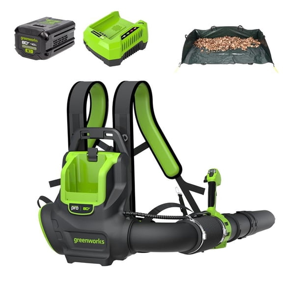 Greenworks 80V 800 CFM Cordless Battery Backpack Blower and Leaf Tarp w/ 4.0Ah Battery & Rapid Charger