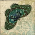 thumbnail image 2 of Stimson, Diane 26x26 White Modern Wood Framed Museum Art Print Titled - Peacock Bfly 2, 2 of 4